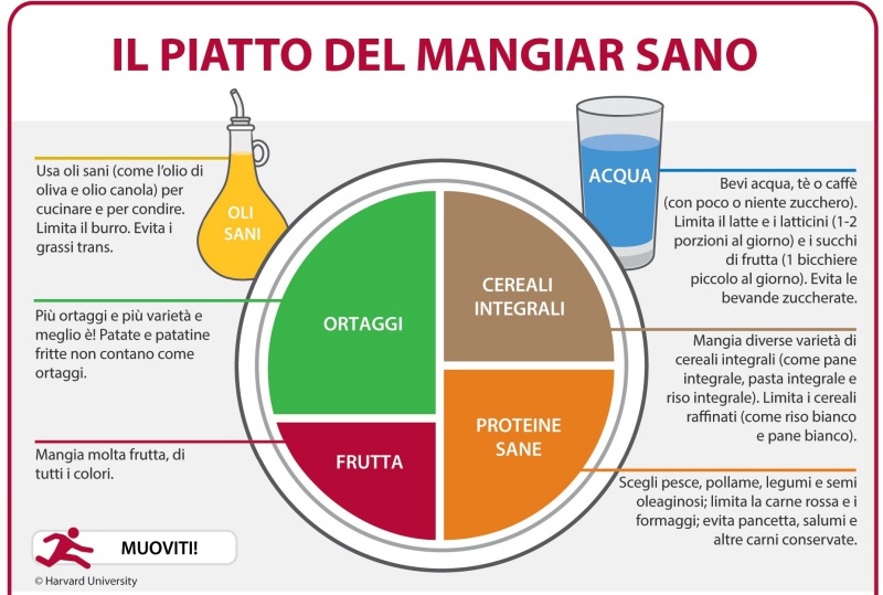piatto tripartito