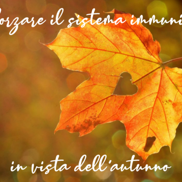 sistema autunno